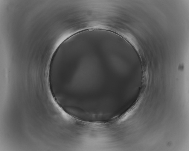 X0000091081007200708131251