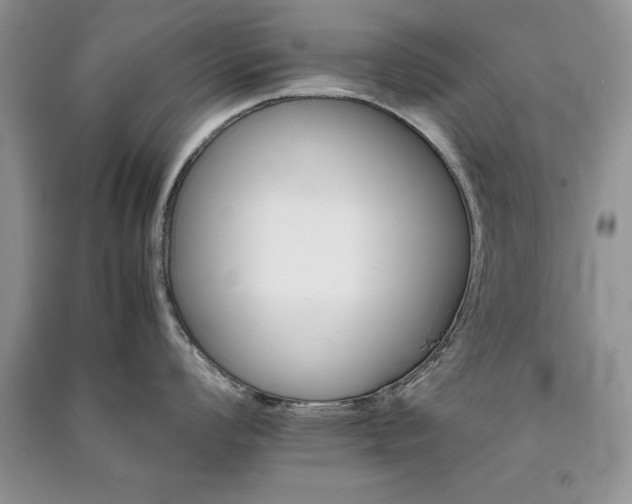 X0000091081008200708131251