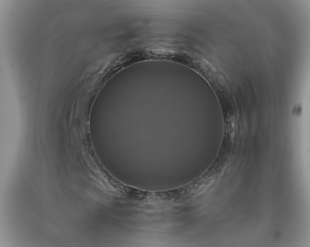 X0000091081009200708131251