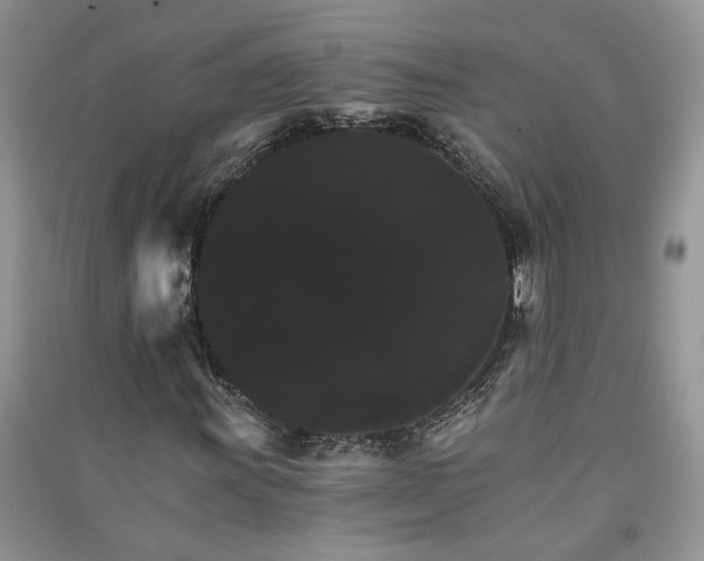 X0000091081011200708131251