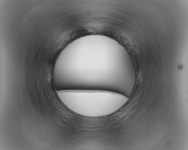 X0000091081012200708131251