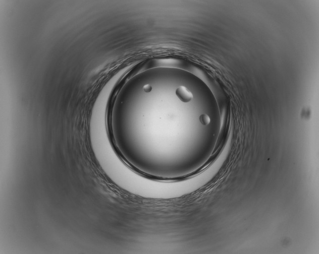 X0000091081014200708131251