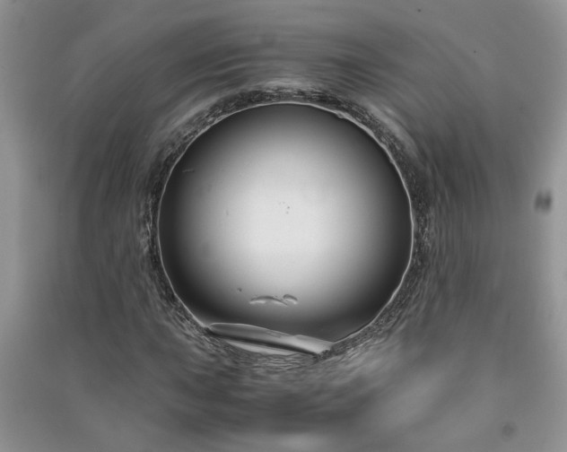 X0000091081015200708131251