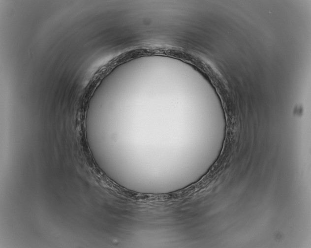 X0000091081016200708131251