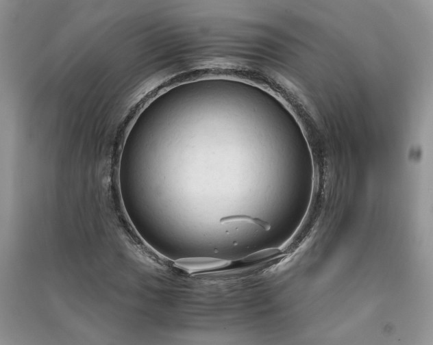 X0000091081017200708131251