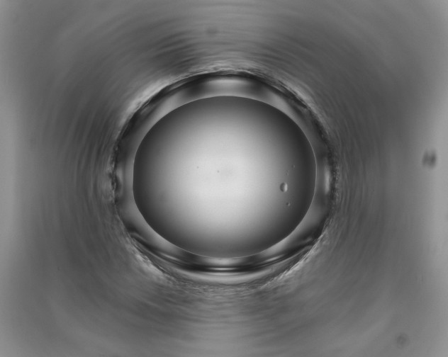 X0000091081018200708131251