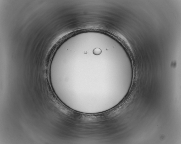 X0000091081019200708131251