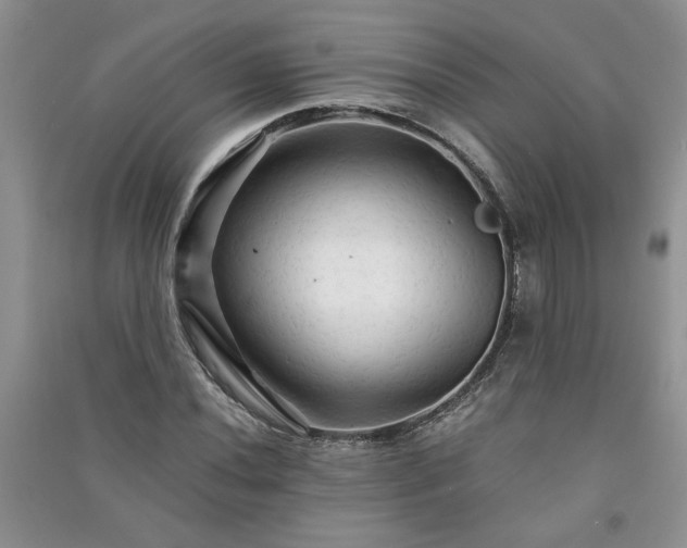 X0000091081020200708131251