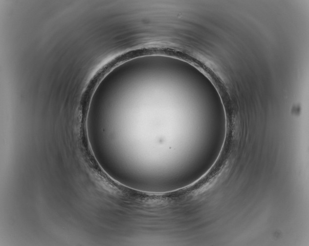 X0000091081021200708131251