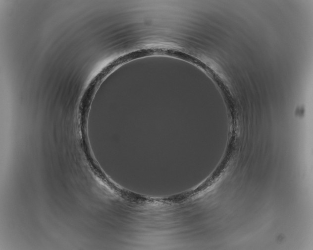 X0000091081022200708131251