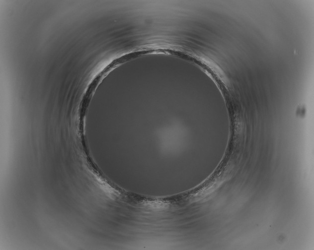 X0000091081023200708131251