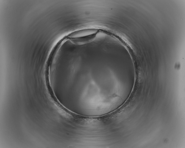 X0000091081024200708131251