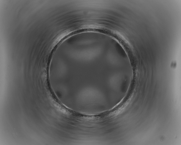 X0000091081025200708131251