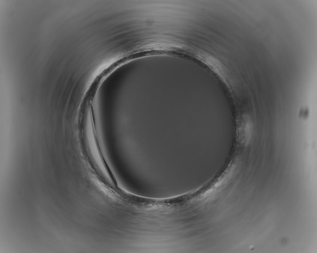 X0000091081026200708131251