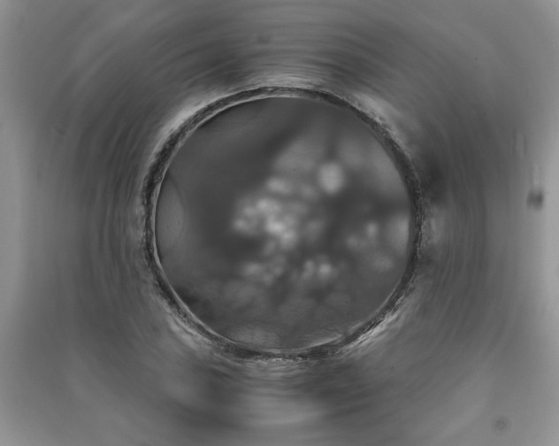 X0000091081027200708131251