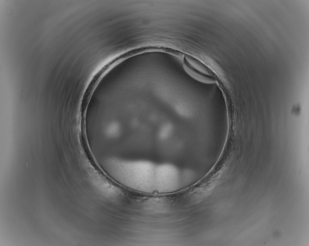 X0000091081028200708131251