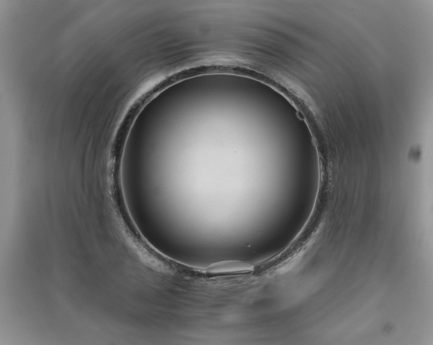 X0000091081029200708131251