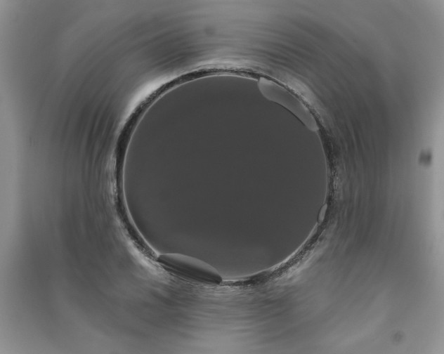 X0000091081030200708131251