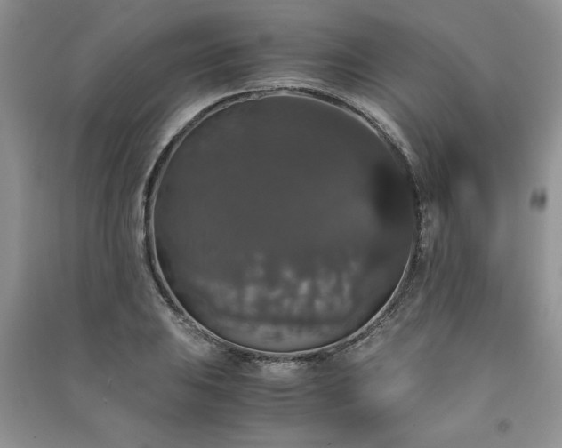 X0000091081031200708131251