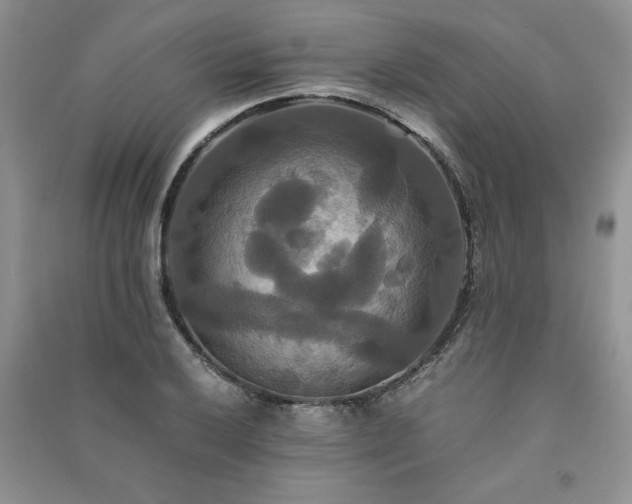 X0000091081032200708131251