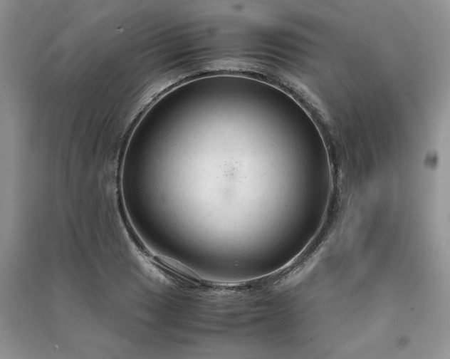 X0000091081033200708131251