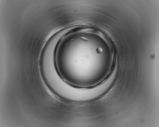 X0000091081034200708131251