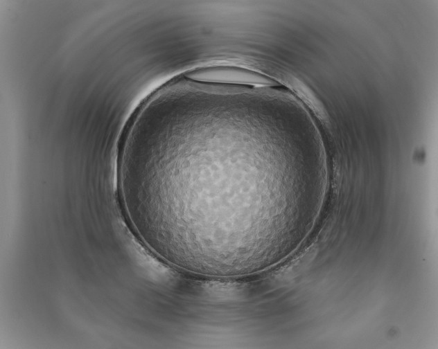 X0000091081036200708131251