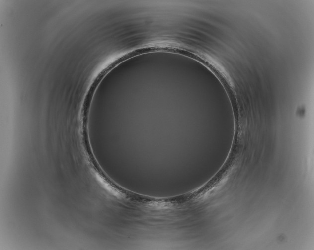 X0000091081037200708131251