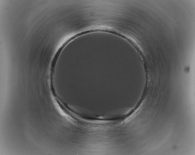 X0000091081038200708131251