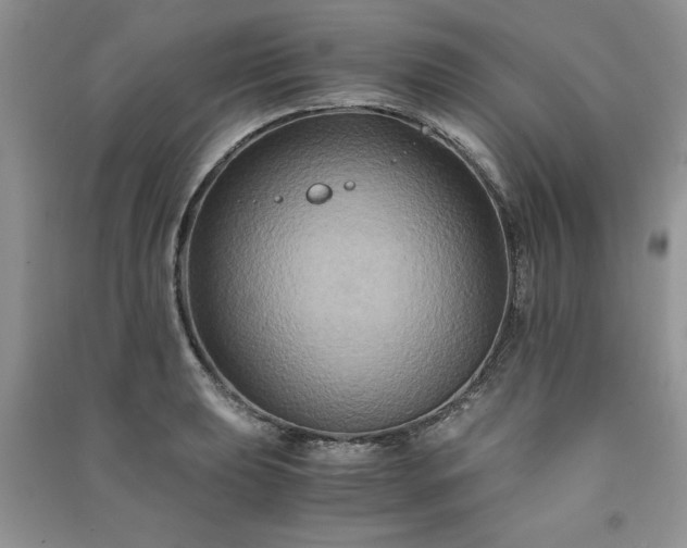 X0000091081039200708131251