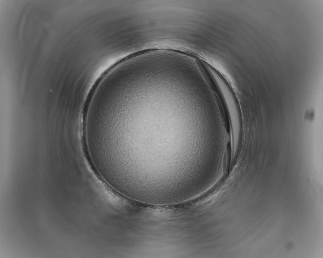 X0000091081040200708131251