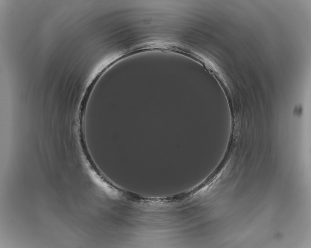 X0000091081042200708131251