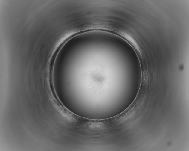 X0000091081043200708131251