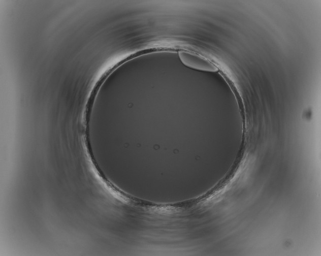 X0000091081045200708131251