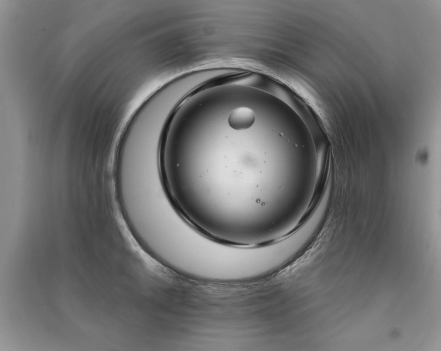 X0000091081046200708131251