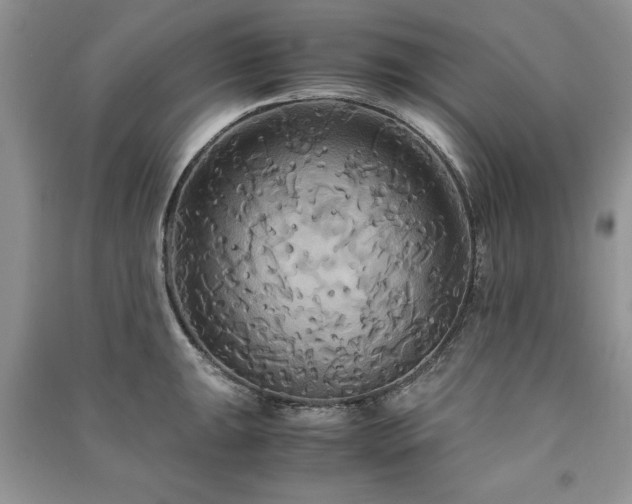 X0000091081047200708131251