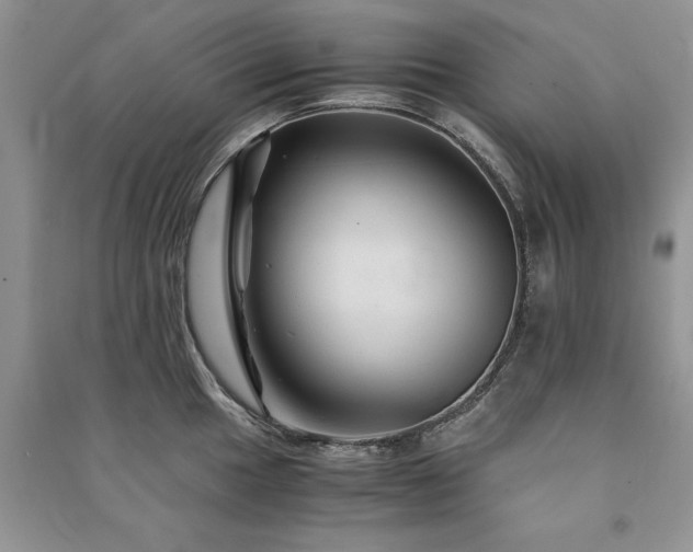 X0000091081049200708131251