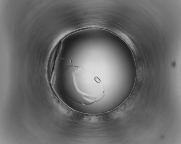 X0000091081051200708131251