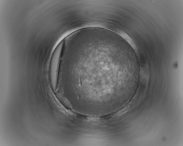 X0000091081052200708131251