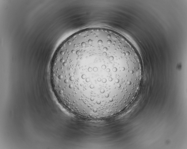 X0000091081053200708131251