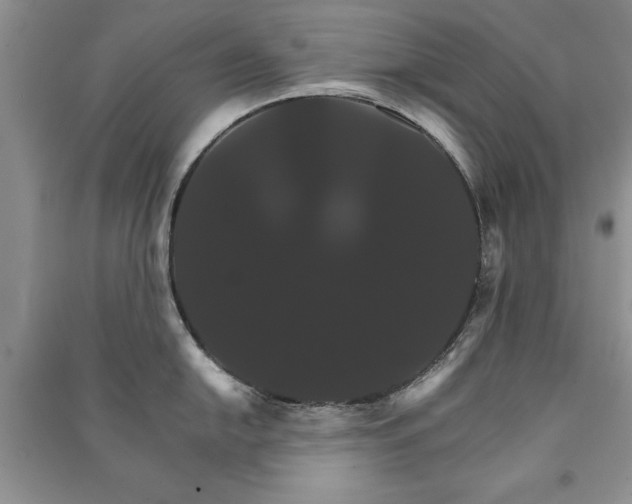 X0000091081054200708131251