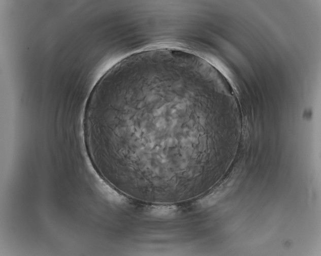 X0000091081055200708131251