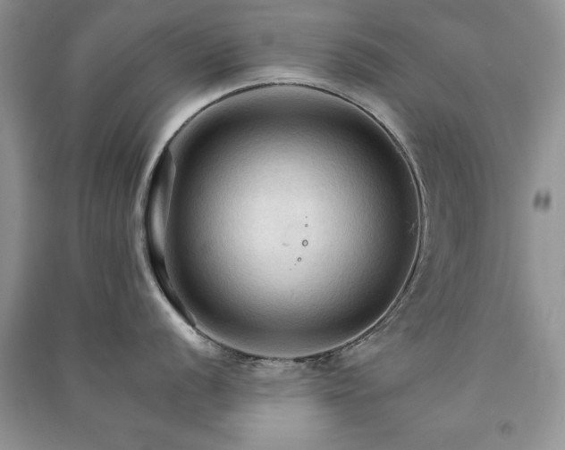 X0000091081056200708131251