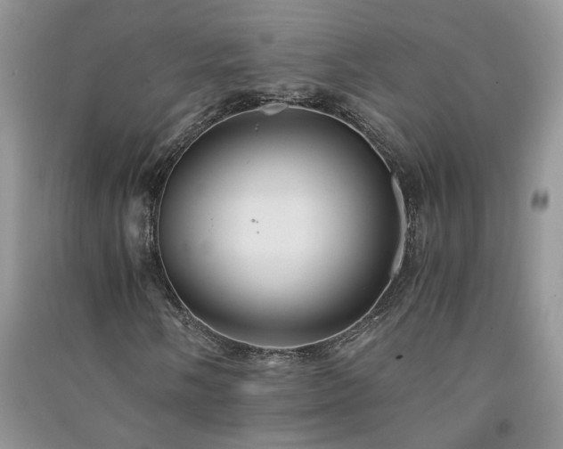 X0000091081058200708131251