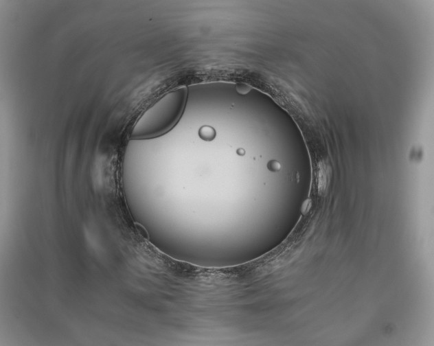 X0000091081059200708131251