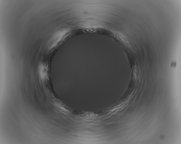 X0000091081060200708131251