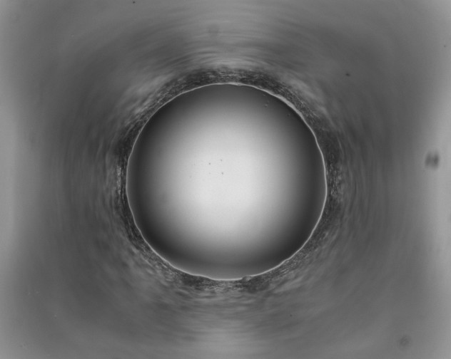 X0000091081061200708131251