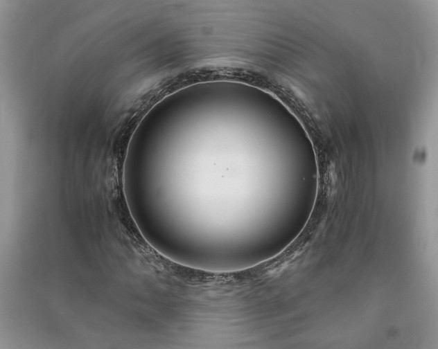 X0000091081062200708131251