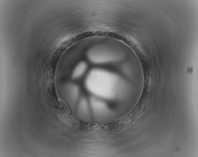 X0000091081063200708131251