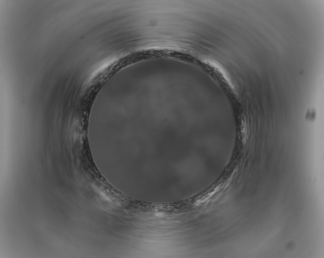 X0000091081064200708131251